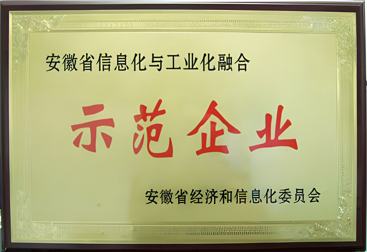 安徽省信息化與工業(yè)化融合示范企業(yè)